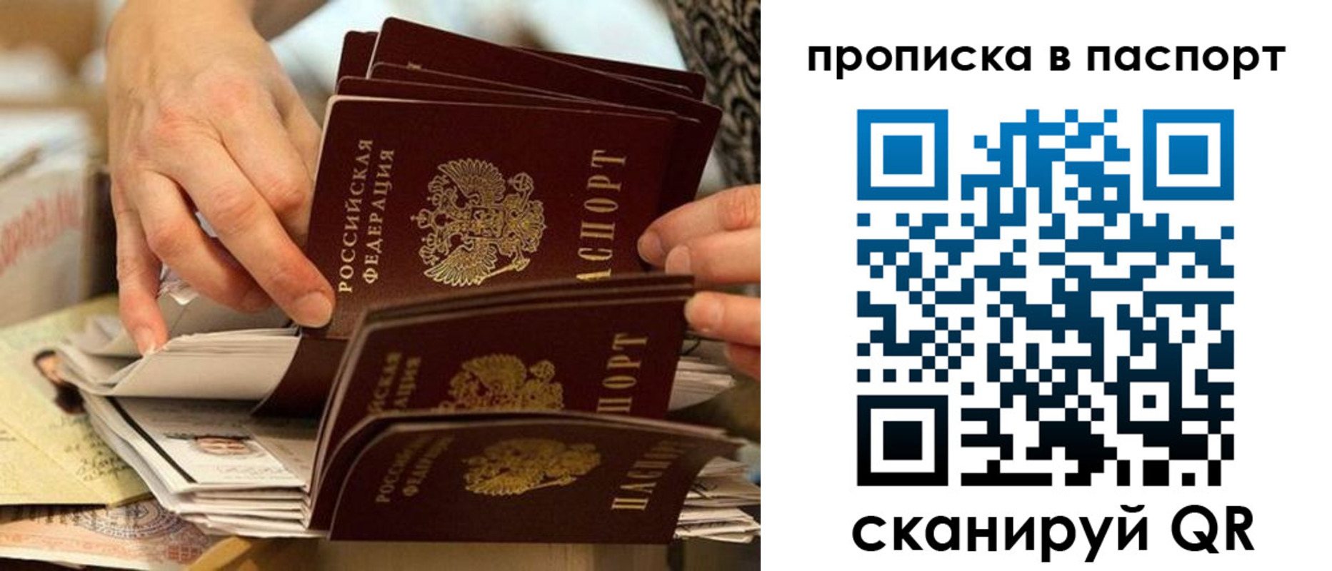 прописка законно в Пионерском
